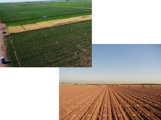 An Aerial Remote Sensing Platform for High Throughput Phenotyping of ...