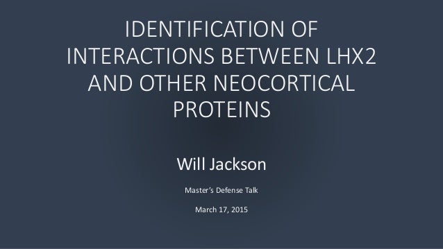 I defend my master thesis