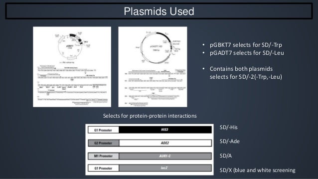 Thesis defense example image