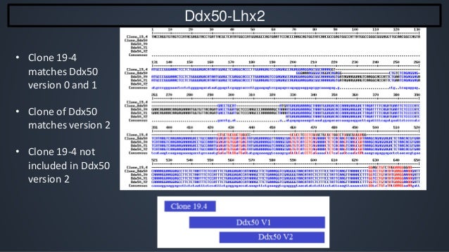 Bachelor thesis defense picture