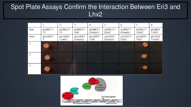 Sample masters thesis defense presentation ppt image