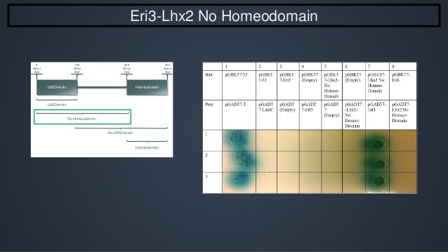 Thesis defense day picture