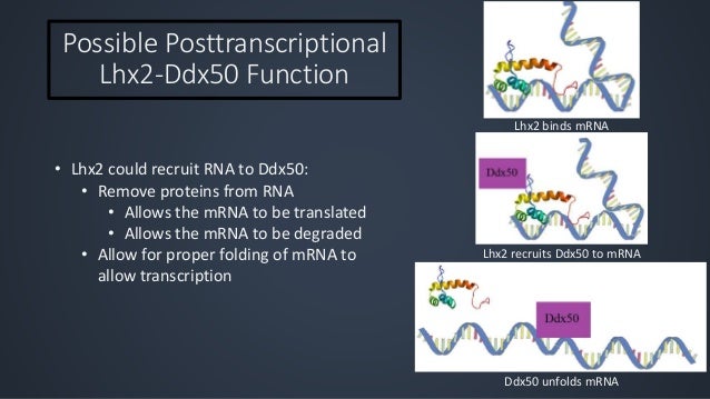 Thesis defense questions image