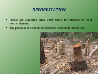 DEFORESTATION
• Forest are exploited since early times for humans to meet
human demand
• The permanent destruction of forest is called deforestation
 