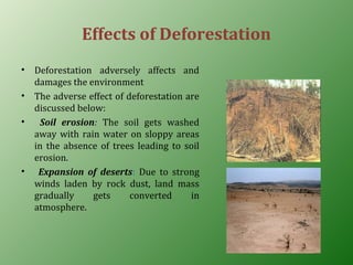 Effects of Deforestation
• Deforestation adversely affects and
damages the environment
• The adverse effect of deforestation are
discussed below:
• Soil erosion: The soil gets washed
away with rain water on sloppy areas
in the absence of trees leading to soil
erosion.
• Expansion of deserts: Due to strong
winds laden by rock dust, land mass
gradually gets converted in
atmosphere.
 