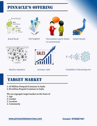 Pinnacle Company Proffile | PDF