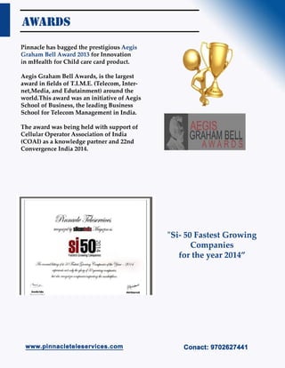 Pinnacle Company Proffile | PDF
