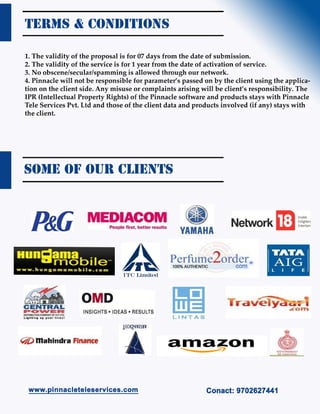 Pinnacle Company Proffile | PDF