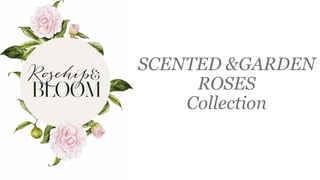 SCENTED &GARDEN
ROSES
Collection
 