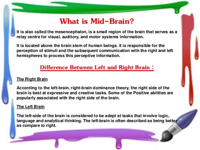 Drugs increase brain function photo 3