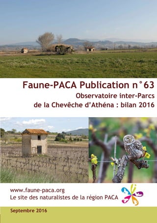 Faune-PACA Publication n°63
Observatoire inter-Parcs
de la Chevêche d’Athéna : bilan 2016
Septembre 2016
www.faune-paca.org
Le site des naturalistes de la région PACA
 