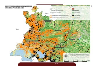 p.13
Figure 5 : Potentiel de dispersion des populations
de Chevêche - Période 2010 – 2016
 