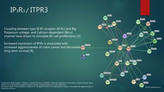 IP3R3 / ITPR3
Coupling between type III IP3 receptor (IP3R3) and Big
Potassium voltage- and Calcium-dependent (BKCA)
channel have shown to stimulate BC cell proliferation [3].
Increased expression of IP3R3 is associated with
increased aggressiveness of colon cancer and decreased
long-term survival [4].
[3]:Mound A, Rodat-Despoix L, Bougarn S, Ouadid-Ahidouch H, Matifat F. Molecular interaction and functional coupling between type 3
inositol 1,4,5-trisphosphate receptor and BKCa channel stimulate breast cancer cell proliferation.
[4]:Fonslow, Bryan R Stein, Benjamin D Webb et al. The type III inositol 1,4,5-trisphosphate receptor is associated with aggressiveness of
colorectal carcinoma
Source: genecards.org
 