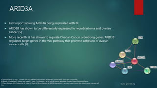 ARID3A
[5] Samyesudhas SJ, Roy L, Cowden Dahl KD. Differential expression of ARID3B in normal adult tissue and carcinomas.
[6] Bobbs A, Gellerman K, Hallas WM, Joseph S, Yang C, Kurkewich J, et al. ARID3B Directly Regulates Ovarian Cancer Promoting Genes.
[7] Oguz Erdogan AS1, Ozdemirler N, Oyken M, Alper M, Erson-Bensan AE. ARID3B expression in primary breast cancers and breast cancer-derived cell
lines.
Source: genecards.org
 First report showing ARID3A being implicated with BC.
 ARID3B has shown to be differentially expressed in neuroblastoma and ovarian
cancer [5].
 More recently, it has shown to regulate Ovarian Cancer promoting genes. ARID3B
regulates target genes in the Wnt pathway that promote adhesion of ovarian
cancer cells [6].
 