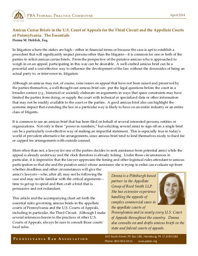 amicus curiae brief example