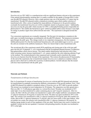 2
Introduction
Synechocystis sp. PCC 6803 is a cyanobacterium with two significant features relevant to this experiment.
It has natural transformability meaning that it is readily available for the uptake of foreign DNA, in this
case the pKCP43 plasmid. However, only a single genome copy out of the possible 6-12 copies may be
transformed. The pKCP43 plasmid confers a kanamycin resistance gene which enables selection of
transformed cells. After a series of gradual but steep additions of kanamycin to the growth medium,
eventually the transformed Synechocystis will be completely mutant in all genome copies.1
Additionally,
Synechocystis has the gene psbC which encodes for CP43, a chlorophyll-binding protein responsible for
photosystem II. This enables the bacterium to grow without an added carbon source because it uses light
for energy to produce sugars from carbon dioxide and water.1
The experiment is designed around this
concept.
Two concurrent experiments are eventually integrated. The first part (A) introduces a mutation to the
psbC gene via double homologous recombination with the pKCP43 plasmid. The kanamycin resistance
gene disrupts the psbC gene. This change results in two important consequences, first the mutation
inhibits photosystem II so that the transformed Synechocystis cells need added sugar to survive, second
the cells are resistant to the antibiotic kanamycin. These two factors help to select transformed cells.
The second part (B) of the experiment entails PCR amplifying and cloning part of the wild type psbC
gene into the pUC19 plasmid. E. coli is transformed with the recombinant plasmid because it synthesizes
beta-galactosidase which cleaves lactose. This detail enables identification and selection with a blue-
white screening system, because transformed E. coli. cannot catabolize the color-inducing substrate X-gal
in the medium. The isolated plasmid is then sequenced and eventually used to transform the mutant
Synechocystis bacteria from the first part of the experiment. This restores the photosystem II functionality.
At the end of the experiment, the re-transformed mutant Synechocystis is plated on a medium without
glucose and is observed to confirm the occurrence of photosynthesis. Growth indicates that the mutant
cells have been transformed with the psbC gene.
Materials and Methods
Transformation of wild-type Synechocystis
Part A of experiment II consists of transforming Synechocystis with the pKCP43 plasmid and selecting
for transformants by gradually increasing the antibiotic concentration of the growth medium. First, 2 mcL
of pKCP43 plasmid was added to a prepared culture of Synechocystis sp. PCC 6803 in growth medium.
The mixture was incubated at room temperature for 30 minutes. The suspension was then spread onto a
filter on a BG–11+5 mM glucose agar plate in a vertical flow hood. The plate was incubated at 30°C
under light. It was then transferred to a plate containing glucose and 5 mcg/mL kanamycin. After two
weeks, the filter with the cell culture was transferred to a plate with a higher antibiotic concentration (BG-
11+glucose+kanamycin 20 mcg/mL) in sterile flow hood. The plate was again incubated at 30°C in the
light. The colonies were transferred to a BG-11+glucose+kanamycin 50 mcg/mL plate after another two
weeks, then to BG-11+glucose+kanamycin 75 mcg/mL after two more weeks, in the same fashion. After
yet another two weeks, the colonies were transferred to BG-11+glucose+kanamycin 100 mcg/mL by
making zigzag streaks in each of four quadrants of the new plate. Sterile loops were used to continue one
quadrant’s streak into the next quadrant. Consistent with preceding transfers, the plate was incubated at
30°C in the light.
 