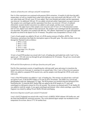 3
Analysis of Synechocystis wild-type and psbC-transformant
Part A of the experiment was continued with genomic DNA extraction. A loopful of cells from the psbC-
mutant plate, as well as a loopful from a plate with wild type, were each mixed with 200 mcL of TE. 150
mcL glass beads and 150 mcL more TE were added. They were blended and settled, and the supernatant
was removed. An additional 100 mcL TE was added, mixed and settled. Supernatant was again removed.
The samples were centrifuged, and the supernatant from these was removed. 250 mcL of a phenol:
chloroform: isoamyl alcohol concoction was added to each sample, and they were vortexed and
centrifuged. The upper layers of the samples were removed, and 125 mcL of 7.5 M ammonium acetate
and 325 mcL ethanol were added to them and mixed. The samples were centrifuged and the supernatant
was discarded. The pellets were washed with 400 mcL 70% ethanol. Supernatant was again discarded and
the pellet was dried in the Speed Vac for 10 minutes. The pellets were resuspended in 20 mcL of TE.
2 mcL of each sample was added to 50 mcL of a PCR reaction mixture of buffers, dNTPs, Taq
Polymerase, and primers that flank the interruption region of the psbC gene. The entire mixtures were run
through the Thermal Cycler as follows:
1. 94°C x 3 min
2. 94°C x 1 min
3. 58°C x 1 min
4. 72°C x 1 min
Repeat steps 2-4 x 30 cycles
5. 4°C soak
10 mcL of each PCR product was mixed with 2 mcL of loading dye and loaded into wells 2 and 3 of an
agarose gel. 120 volts were run through the gel electrophoresis for 30 minutes. The gel was viewed under
u.v. light and photographed.
PCR and Gel Electrophoresis of wild-type Synechocystis psbC gene
Part B of the experiment consists of amplifying the wild-type psbC gene and using it to transform the
mutant Synechocystis from part A, restoring it to its natural state. First, 2 mcL of Synechocystis genomic
DNA was added to a prepared PCR reaction mix, and the samples went through the 4 PCR cycles and a
soak cycle.
5 mcL of the PCR product was added to 1 mcL of loading dye. This mixture was placed into a well and
ran against 4 mcL of the kb DNA ladder at 70 volts for 40 to 50 minutes. The ladder was viewed and
photographed under the Alphamager UV light. The PCR product was purified using the QIAquick PCR
Purification Kit. To bind the DNA, Buffer PBI was added to the PCR sample at a 5:1 ratio and
centrifuged in a QIAquick column for 30 to 60 seconds. The mixture was drained and 0.75 mL Buffer PE
was added to wash the sample. It was again centrifuged and drained. After a third centrifuge, a pure DNA
fragment was eluted by adding 30 mcL Buffer EB and centrifuging.
Restriction Digestion of psbC gene and pUC19 plasmid
4 mcL of pUC19 plasmid was mixed with a total 16 mcL of ddH20, NEB CutSmart 10X buffer mix, and
the SmaI and HindIII-HF restriction enzymes. The vector plasmid digest sample was incubated at room
temperature for an hour, then at 37°C for another hour.
 