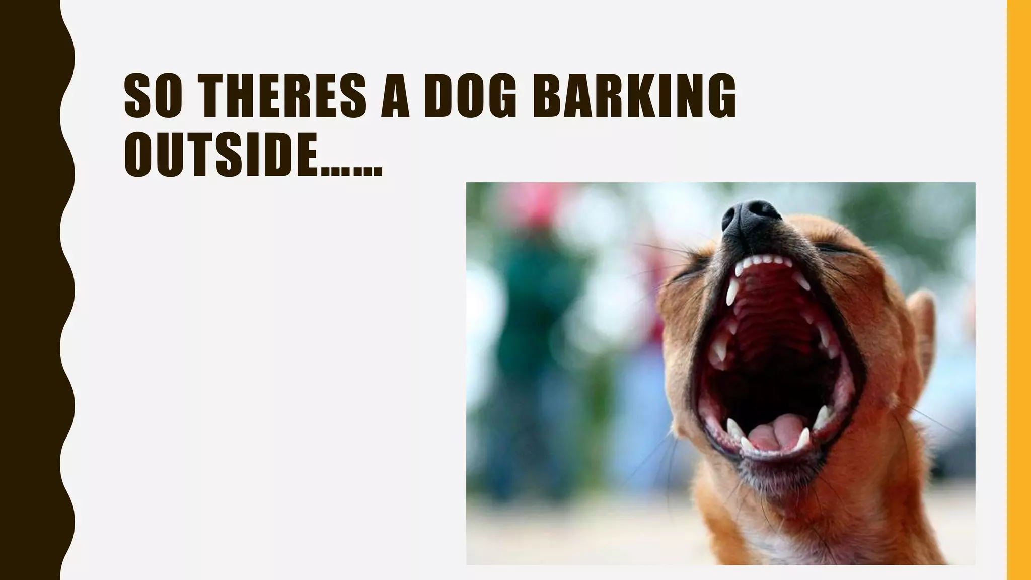 SO THERES A DOG BARKING
OUTSIDE……
 