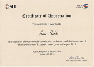 SDL Director Certificate 2014