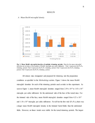 8
RESULTS
A. Mean Hoxb8 microglial density
Fig. 1: Mean Hoxb8 microglial densities of multiple trimming periods; Data for the mean microglial
densities are in terms of the number of Hoxb8 microglia per cubic millimeter. Trial 1 represents the P4-P16
trimming period; Trial 2 represents the P4-P17 trimming period; Trial 3 represents the P8-P39 trimming
period; Trial 4 represents the P0-P32 trimming period;
All sixteen mice designated and prepared for trimming met the preparation
conditions as specified in the Methodology section. Figure 1 shows the mean Hoxb8
microglial densities for each of the trimming periods used as trials in this experiment. As
seen in Figure 1, mean Hoxb8 microglial densities ranged from 2.59 x 10-6 to 1.83 x 10-5
microglia per cubic millimeter for the untrimmed side of the face of the tested mice. For
the trimmed side of the face, mean Hoxb8 microglial densities ranged from 4.21 x 10-6
and 1.18 x 10-5 microglia per cubic millimeter. For all but the first trial (P4-P16), there was
a larger mean Hoxb8 microglial density in the trimmed barrel fields than the untrimmed
fields. However, no linear trends were visible for the tested trimming periods. The largest
1 2 3 4
Untrimmed 1.83E-05 6.21E-06 2.59E-06 2.17E-06
Trimmed 1.32E-05 9.39E-06 1.18E-05 4.21E-06
-5.00E-06
0.00E+00
5.00E-06
1.00E-05
1.50E-05
2.00E-05
2.50E-05
MeanMicroglialDensity(microglia/mm^3)
Trimming Period
 