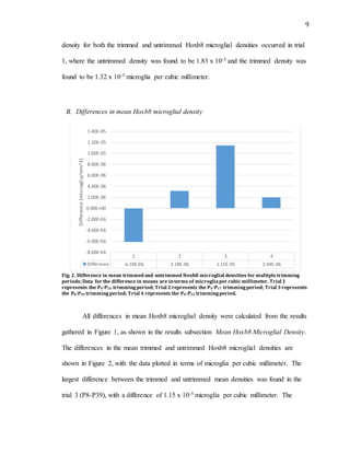 9
density for both the trimmed and untrimmed Hoxb8 microglial densities occurred in trial
1, where the untrimmed density was found to be 1.83 x 10-5 and the trimmed density was
found to be 1.32 x 10-5 microglia per cubic millimeter.
B. Differences in mean Hoxb8 microglial density
Fig. 2. Difference in mean trimmed and untrimmed Hoxb8 microglial densities for multipletrimming
periods;Data for the difference in means are interms of microgliaper cubic millimeter. Trial 1
represents the P4-P16 trimmingperiod; Trial 2 represents the P4-P17 trimmingperiod; Trial 3 represents
the P8-P39 trimmingperiod; Trial 4 represents the P0-P32 trimmingperiod.
All differences in mean Hoxb8 microglial density were calculated from the results
gathered in Figure 1, as shown in the results subsection Mean Hoxb8 Microglial Density.
The differences in the mean trimmed and untrimmed Hoxb8 microglial densities are
shown in Figure 2, with the data plotted in terms of microglia per cubic millimeter. The
largest difference between the trimmed and untrimmed mean densities was found in the
trial 3 (P8-P39), with a difference of 1.15 x 10-5 microglia per cubic millimeter. The
1 2 3 4
Difference -6.10E-06 3.18E-06 1.15E-05 2.04E-06
-8.00E-06
-6.00E-06
-4.00E-06
-2.00E-06
0.00E+00
2.00E-06
4.00E-06
6.00E-06
8.00E-06
1.00E-05
1.20E-05
1.40E-05
Difference(microglia/mm^3)
 