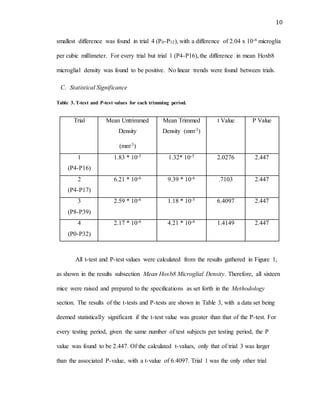 10
smallest difference was found in trial 4 (P0-P32), with a difference of 2.04 x 10-6 microglia
per cubic millimeter. For every trial but trial 1 (P4-P16), the difference in mean Hoxb8
microglial density was found to be positive. No linear trends were found between trials.
C. Statistical Significance
Table 3. T-test and P-test values for each trimming period.
Trial Mean Untrimmed
Density
(mm-3)
Mean Trimmed
Density (mm-3)
t Value P Value
1
(P4-P16)
1.83 * 10-5 1.32* 10-5 2.0276 2.447
2
(P4-P17)
6.21 * 10-6 9.39 * 10-6 .7103 2.447
3
(P8-P39)
2.59 * 10-6 1.18 * 10-5 6.4097 2.447
4
(P0-P32)
2.17 * 10-6 4.21 * 10-6 1.4149 2.447
All t-test and P-test values were calculated from the results gathered in Figure 1,
as shown in the results subsection Mean Hoxb8 Microglial Density. Therefore, all sixteen
mice were raised and prepared to the specifications as set forth in the Methodology
section. The results of the t-tests and P-tests are shown in Table 3, with a data set being
deemed statistically significant if the t-test value was greater than that of the P-test. For
every testing period, given the same number of test subjects per testing period, the P
value was found to be 2.447. Of the calculated t-values, only that of trial 3 was larger
than the associated P-value, with a t-value of 6.4097. Trial 1 was the only other trial
 