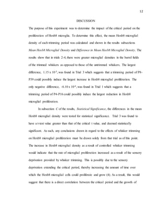 12
DISCUSSION
The purpose of this experiment was to determine the impact of the critical period on the
proliferation of Hoxb8 microglia. To determine this effect, the mean Hoxb8 microglial
density of each trimming period was calculated and shown in the results subsections
Mean Hoxb8 Microglial Density and Difference in Mean Hoxb8 Microglial Density. The
results show that in trials 2-4, there were greater microglial densities in the barrel fields
of the trimmed whiskers as opposed to those of the untrimmed whiskers. The largest
difference, 1.15 x 10-5, was found in Trial 3 which suggests that a trimming period of P8-
P39 could possibly induce the largest increase in Hoxb8 microglial proliferation. The
only negative difference, -6.10 x 10-6, was found in Trial 1 which suggests that a
trimming period of P4-P16 could possibly induce the largest reduction in Hoxb8
microglial proliferation.
In subsection C of the results, Statistical Significance, the differences in the mean
Hoxb8 microglial density were tested for statistical significance. Trial 3 was found to
have a t-test value greater than that of the critical t value, and deemed statistically
significant. As such, any conclusions drawn in regard to the effects of whisker trimming
on Hoxb8 microglial proliferation must be drawn solely from that trial as of this point.
The increase in Hoxb8 microglial density as a result of controlled whisker trimming
would indicate that the rate of microglial proliferation increased as a result of the sensory
deprivation provided by whisker trimming. This is possibly due to the sensory
deprivation extending the critical period, thereby increasing the amount of time over
which the Hoxb8 microglial cells could proliferate and grow (4). As a result, this would
suggest that there is a direct correlation between the critical period and the growth of
 