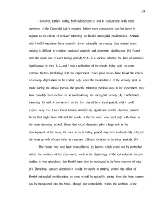 14
However, further testing both independently and in conjunction with other
members of the Capecchi Lab is required before more conclusions can be drawn in
regards to the effects of whisker trimming on Hoxb8 microglial proliferation. Animals
with Hoxb8 mutations have naturally fewer microglia on average than normal mice,
making it difficult to conduct statistical analysis and determine significance [8]. Paired
with the small size of each testing period(N=4), it is unclear whether the lack of statistical
significance in trials 1, 2, and 4 was a reflection of the results being valid or some
external factors interfering with the experiment. Since past studies have found the effects
of sensory deprivation to be evident only when the manipulation of the sensory input is
made during the critical period, the specific trimming periods used in the experiment may
have possibly been ineffective in manipulating the microglial density [4]. Furthermore,
trimming for trial 3 commenced on the first day of the critical period, which could
explain why trial 3 was found to have statistically significant results. Another possible
factor that might have affected the results is that the mice were kept only with those in
the same trimming period. Given that social dynamics play a large role in the
development of the brain, the mice in each testing period may have inadvertently affected
the brain growth of each other in a manner different to those in the other periods. (9)
The results may also have been affected by factors which could not be controlled
within the confines of the experiment, such as the physiology of the test subjects. In past
studies, it was speculated that Hoxb8 may also be produced in the bone marrow of mice
(6). Therefore, sensory deprivation would be unable to entirely control the effect of
Hoxb8 microglial proliferation, as some would be naturally arising from the bone marrow
and be transported into the brain. Though not controllable within the confines of the
 