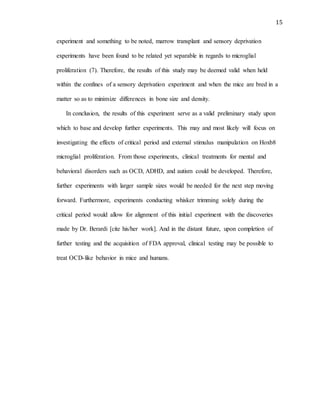 15
experiment and something to be noted, marrow transplant and sensory deprivation
experiments have been found to be related yet separable in regards to microglial
proliferation (7). Therefore, the results of this study may be deemed valid when held
within the confines of a sensory deprivation experiment and when the mice are bred in a
matter so as to minimize differences in bone size and density.
In conclusion, the results of this experiment serve as a valid preliminary study upon
which to base and develop further experiments. This may and most likely will focus on
investigating the effects of critical period and external stimulus manipulation on Hoxb8
microglial proliferation. From those experiments, clinical treatments for mental and
behavioral disorders such as OCD, ADHD, and autism could be developed. Therefore,
further experiments with larger sample sizes would be needed for the next step moving
forward. Furthermore, experiments conducting whisker trimming solely during the
critical period would allow for alignment of this initial experiment with the discoveries
made by Dr. Berardi [cite his/her work]. And in the distant future, upon completion of
further testing and the acquisition of FDA approval, clinical testing may be possible to
treat OCD-like behavior in mice and humans.
 