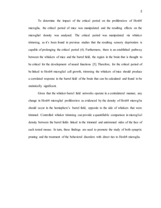 2
To determine the impact of the critical period on the proliferation of Hoxb8
microglia, the critical period of mice was manipulated and the resulting effects on the
microglial density was analyzed. The critical period was manipulated via whisker
trimming, as it’s been found in previous studies that the resulting sensory deprivation is
capable of prolonging the critical period (4). Furthermore, there is an established pathway
between the whiskers of mice and the barrel field, the region in the brain that is thought to
be critical for the development of neural functions [5]. Therefore, for the critical period of
be linked to Hoxb8 microglial cell growth, trimming the whiskers of mice should produce
a correlated response in the barrel field of the brain that can be calculated and found to be
statistically significant.
Given that the whisker-barrel field networks operate in a contralateral manner, any
change in Hoxb8 microglial proliferation as evidenced by the density of Hoxb8 microglia
should occur in the hemisphere’s barrel field, opposite to the side of whiskers that were
trimmed. Controlled whisker trimming can provide a quantifiable comparison in microglial
density between the barrel fields linked to the trimmed and untrimmed sides of the face of
each tested mouse. In turn, these findings are used to promote the study of both synaptic
pruning and the treatment of the behavioral disorders with direct ties to Hoxb8 microglia.
 