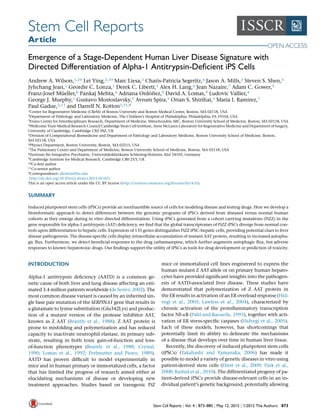 Stem Cell Reports
Article
Emergence of a Stage-Dependent Human Liver Disease Signature with
Directed Differentiation of Alpha-1 Antitrypsin-Deﬁcient iPS Cells
Andrew A. Wilson,1,10 Lei Ying,2,10 Marc Liesa,3 Charis-Patricia Segeritz,4 Jason A. Mills,2 Steven S. Shen,5
Jyhchang Jean,1 Geordie C. Lonza,1 Derek C. Liberti,1 Alex H. Lang,6 Jean Nazaire,7 Adam C. Gower,5
Franz-Josef Mu¨eller,8 Pankaj Mehta,6 Adriana Ordo´n˜ez,9 David A. Lomas,9 Ludovic Vallier,4
George J. Murphy,1 Gustavo Mostoslavsky,1 Avrum Spira,5 Orian S. Shirihai,3 Maria I. Ramirez,7
Paul Gadue,2,11 and Darrell N. Kotton1,11,*
1Center for Regenerative Medicine (CReM) of Boston University and Boston Medical Center, Boston, MA 02118, USA
2Department of Pathology and Laboratory Medicine, The Children’s Hospital of Philadelphia, Philadelphia, PA 19104, USA
3Evans Center for Interdisciplinary Research, Department of Medicine, Mitochondria ARC, Boston University School of Medicine, Boston, MA 02118, USA
4Wellcome Trust-Medical Research Council Cambridge Stem Cell Institute, Anne McLaren Laboratory for Regenerative Medicine and Department of Surgery,
University of Cambridge, Cambridge CB2 0SZ, UK
5Division of Computational Biomedicine and Department of Pathology and Laboratory Medicine, Boston University School of Medicine, Boston,
MA 02118, USA
6Physics Department, Boston University, Boston, MA 02215, USA
7The Pulmonary Center and Department of Medicine, Boston University School of Medicine, Boston, MA 02118, USA
8Zentrum fu¨r Integrative Psychiatrie, Universita¨tsklinikums Schleswig-Holstein, Kiel 24105, Germany
9Cambridge Institute for Medical Research, Cambridge CB0 2XY, UK
10Co-ﬁrst author
11Co-senior author
*Correspondence: dkotton@bu.edu
http://dx.doi.org/10.1016/j.stemcr.2015.02.021
This is an open access article under the CC BY license (http://creativecommons.org/licenses/by/4.0/).
SUMMARY
Induced pluripotent stem cells (iPSCs) provide an inexhaustible source of cells for modeling disease and testing drugs. Here we develop a
bioinformatic approach to detect differences between the genomic programs of iPSCs derived from diseased versus normal human
cohorts as they emerge during in vitro directed differentiation. Using iPSCs generated from a cohort carrying mutations (PiZZ) in the
gene responsible for alpha-1 antitrypsin (AAT) deﬁciency, we ﬁnd that the global transcriptomes of PiZZ iPSCs diverge from normal con-
trols upon differentiation to hepatic cells. Expression of 135 genes distinguishes PiZZ iPSC-hepatic cells, providing potential clues to liver
disease pathogenesis. The disease-speciﬁc cells display intracellular accumulation of mutant AAT protein, resulting in increased autopha-
gic ﬂux. Furthermore, we detect beneﬁcial responses to the drug carbamazepine, which further augments autophagic ﬂux, but adverse
responses to known hepatotoxic drugs. Our ﬁndings support the utility of iPSCs as tools for drug development or prediction of toxicity.
INTRODUCTION
Alpha-1 antitrypsin deﬁciency (AATD) is a common ge-
netic cause of both liver and lung disease affecting an esti-
mated 3.4 million patients worldwide (de Serres, 2002). The
most common disease variant is caused by an inherited sin-
gle base pair mutation of the SERPINA1 gene that results in
a glutamate to lysine substitution (Glu342Lys) and produc-
tion of a mutant version of the protease inhibitor AAT,
known as Z AAT (Brantly et al., 1988). Z AAT protein is
prone to misfolding and polymerization and has reduced
capacity to inactivate neutrophil elastase, its primary sub-
strate, resulting in both toxic gain-of-function and loss-
of-function phenotypes (Brantly et al., 1988; Crystal,
1990; Lomas et al., 1992; Perlmutter and Pierce, 1989).
AATD has proven difﬁcult to model experimentally in
mice and in human primary or immortalized cells, a factor
that has limited the progress of research aimed either at
elucidating mechanisms of disease or developing new
treatment approaches. Studies based on transgenic PiZ
mice or immortalized cell lines engineered to express the
human mutant Z AAT allele or on primary human hepato-
cytes have provided signiﬁcant insights into the pathogen-
esis of AATD-associated liver disease. These studies have
demonstrated that polymerization of Z AAT protein in
the ER results in activation of an ER overload response (Hid-
vegi et al., 2005; Lawless et al., 2004), characterized by
chronic activation of the proinﬂammatory transcription
factor NF-kB (Pahl and Baeuerle, 1995), together with acti-
vation of ER stress-speciﬁc caspases (Hidvegi et al., 2005).
Each of these models, however, has shortcomings that
potentially limit its ability to delineate the mechanisms
of a disease that develops over time in human liver tissue.
Recently, the discovery of induced pluripotent stem cells
(iPSCs) (Takahashi and Yamanaka, 2006) has made it
possible to model a variety of genetic diseases in vitro using
patient-derived stem cells (Ebert et al., 2009; Park et al.,
2008; Rashid et al., 2010). The differentiated progeny of pa-
tient-derived iPSCs provide disease-relevant cells in an in-
dividual patient’s genetic background, potentially allowing
Stem Cell Reports j Vol. 4 j 873–885 j May 12, 2015 j ª2015 The Authors 873
 