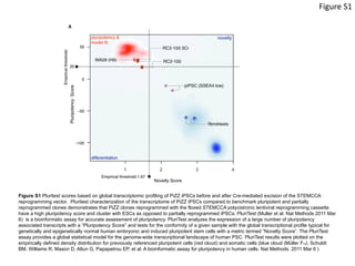 Figure	
  S1	
  
Figure S1 Pluritest scores based on global transcriptomic profiling of PiZZ iPSCs before and after Cre-mediated excision of the STEMCCA
reprogramming vector. Pluritest characterization of the transcriptome of PiZZ iPSCs compared to benchmark pluripotent and partially
reprogrammed clones demonstrates that PiZZ clones reprogrammed with the floxed STEMCCA polycistronic lentiviral reprogramming cassette
have a high pluripotency score and cluster with ESCs as opposed to partially reprogrammed iPSCs. PluriTest (Muller et al. Nat Methods 2011 Mar
6) is a bioinformatic assay for accurate assessment of pluripotency. PluriTest analyzes the expression of a large number of pluripotency
associated transcripts with a “Pluripotency Score” and tests for the conformity of a given sample with the global transcriptional profile typical for
genetically and epigenetically normal human embryonic and induced pluripotent stem cells with a metric termed “Novelty Score”. The PluriTest
assay provides a global statistical model for the genome-wide transcriptional landscape of human PSC. PluriTest results were plotted on the
empirically defined density distribution for previously referenced pluripotent cells (red cloud) and somatic cells (blue cloud (Müller F-J, Schuldt
BM, Williams R, Mason D, Altun G, Papapetrou EP, et al. A bioinformatic assay for pluripotency in human cells. Nat Methods. 2011 Mar 6 )
	
  
 