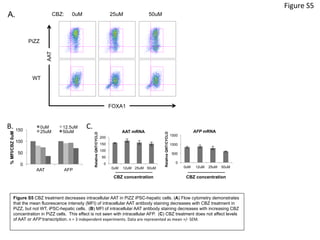 Figure	
  S5	
  
0
50
100
150
AAT AFP
%MFI/CBZ0uM
0uM 12.5uM
25uM 50uM
A.
B.	
   C.	
  
CBZ: 25uM 50uM
0
50
100
150
200
0uM 12uM 25uM 50uM
RelativeQNT/CYCLO
AAT mRNA
0
500
1000
1500
0uM 12uM 25uM 50uMRelativeQNT/CYCLO
AFP mRNA
PiZZ
WT
AAT
FOXA1
0uM
CBZ concentration CBZ concentration
Figure S5 CBZ treatment decreases intracellular AAT in PiZZ iPSC-hepatic cells. (A) Flow cytometry demonstrates
that the mean fluorescence intensity (MFI) of intracellular AAT antibody staining decreases with CBZ treatment in
PiZZ, but not WT, iPSC-hepatic cells. (B) MFI of intracellular AAT antibody staining decreases with increasing CBZ
concentration in PiZZ cells. This effect is not seen with intracellular AFP. (C) CBZ treatment does not affect levels
of AAT or AFP transcription.	
  n	
  =	
  3	
  independent	
  experiments.	
  Data	
  are	
  represented	
  as	
  mean	
  +/-­‐	
  SEM.	
  
	
  
 