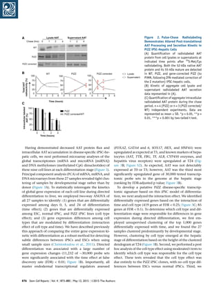 Having demonstrated decreased AAT protein ﬂux and
intracellular AAT accumulation in disease-speciﬁc iPSC-he-
patic cells, we next performed microarray analyses of the
global transcriptomes (mRNA and microRNA [miRNA])
and DNA methylomes (methylated CpG dinucleotides) of
these nine cell lines at each differentiation stage (Figure 3).
Principal component analysis (PCA) of mRNA, miRNA, and
DNA microarrays from these 27 samples revealed tight clus-
tering of samples by developmental stage rather than by
donor (Figure 3A). To statistically interrogate the kinetics
of global gene expression of each cell line during directed
differentiation to liver, we employed two-way ANOVA of
all 27 samples to identify: (1) genes that are differentially
expressed among days 0, 5, and 24 of differentiation
(time effect); (2) genes that are differentially expressed
among ESC, normal iPSC, and PiZZ iPSC lines (cell type
effect); and (3) gene expression differences among cell
types that are modulated by differentiation (interaction
effect of cell type and time). We have described previously
this approach of comparing the entire gene expression ki-
netic with differentiation as a robust method for detecting
subtle differences between iPSCs and ESCs when using
small sample sizes (Christodoulou et al., 2011). Directed
differentiation was associated with a large number of
gene expression changes (11,232 of 30,000 probe sets
were signiﬁcantly associated with the time effect at false
discovery rate (FDR)  0.01; Figure 3B). Importantly, all
master endodermal transcriptional regulators assessed
(FOXA2, GATA4 and 6, SOX17, HEX, and HNF4A) were
upregulated as expected at T5, and known markers of hepa-
tocytes (AAT, TTR, FBG, TF, ALB, CYP450 enzymes, and
hepatitis virus receptors) were upregulated at T24 (Fig-
ure 3B; Figure S2). As expected, AAT was not detectably
expressed at T0 or T5; however, AAT was the third most
signiﬁcantly upregulated gene of 30,000 tested transcrip-
tomic probe sets in the genome at the hepatic stage
(ranking by FDR-adjusted p value; Figure 3B).
To develop a putative PiZZ disease-speciﬁc transcrip-
tomic signature based on this iPSC model of differentia-
tion, we next analyzed the interaction effect. We identiﬁed
differentially expressed genes based on the interaction of
time and cell type (419 genes at FDR  0.25; Figure 3C; 85
genes at FDR  0.1). To determine which cell type and dif-
ferentiation stage were responsible for differences in gene
expression during directed differentiation, we ﬁrst em-
ployed unsupervised clustering of the top 1,000 genes
differentially expressed with time, and we found the 27
samples clustered predominantly by developmental stage.
However, clustering by cell type emerged at the hepatic
stage of differentiation based on the height of the clustered
dendogram at T24 (Figure 3B). Second, we performed a post
hoc analysis of the cell type effect using moderated t tests to
identify which cell type was responsible for the cell type
effect. These tests revealed that the cell type effect was
due entirely to the PiZZ iPSC clones, with no cell type dif-
ferences between ESCs versus normal iPSCs. Third, we
Figure 2. Pulse-Chase Radiolabeling
Demonstrates Altered Post-translational
AAT Processing and Secretion Kinetic in
PiZZ iPSC-Hepatic Cells
(A) Quantiﬁcation of radiolabeled AAT
protein from cell lysates or supernatants at
indicated time points after 35
S-Met/Cys
radiolabeling. Both the 52-kDa native AAT
protein and its 55-kDa mature are detected
in WT, PiZZ, and gene-corrected PiZZ (to
PiMM, following ZFN-mediated correction of
the Z mutation) iPSC-hepatic cells.
(B) Kinetic of aggregate cell lysate and
supernatant radiolabeled AAT secretion
data represented in (A).
(C) Quantiﬁcation of aggregate intracellular
radiolabeled AAT protein during the chase
period. n = 4 (PiZZ) or n = 3 (PiZZ corrected/
WT) independent experiments. Data are
represented as mean ± SD. *p  0.05, **p 
0.01, ***p  0.001 by two-tailed t test.
876 Stem Cell Reports j Vol. 4 j 873–885 j May 12, 2015 j ª2015 The Authors
 