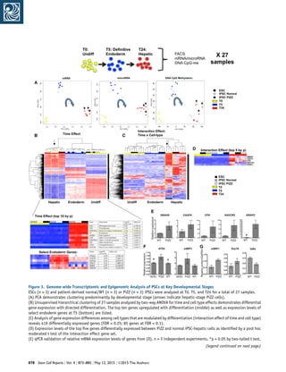 Figure 3. Genome-wide Transcriptomic and Epigenomic Analysis of PSCs at Key Developmental Stages
ESCs (n = 3) and patient-derived normal/WT (n = 3) or PiZZ (n = 3) iPSCs were analyzed at T0, T5, and T24 for a total of 27 samples.
(A) PCA demonstrates clustering predominantly by developmental stage (arrows indicate hepatic-stage PiZZ cells).
(B) Unsupervised hierarchical clustering of 27 samples analyzed by two-way ANOVA for time and cell type effects demonstrates differential
gene expression with directed differentiation. The top ten genes upregulated with differentiation (middle) as well as expression levels of
select endoderm genes at T5 (bottom) are listed.
(C) Analysis of gene expression differences among cell types that are modulated by differentiation (interaction effect of time and cell type)
reveals 419 differentially expressed genes (FDR  0.25; 85 genes at FDR  0.1).
(D) Expression levels of the top ﬁve genes differentially expressed between PiZZ and normal iPSC-hepatic cells as identiﬁed by a post hoc
moderated t test of the interaction effect gene set.
(E) qPCR validation of relative mRNA expression levels of genes from (D). n = 3 independent experiments. *p  0.05 by two-tailed t test.
(legend continued on next page)
878 Stem Cell Reports j Vol. 4 j 873–885 j May 12, 2015 j ª2015 The Authors
 