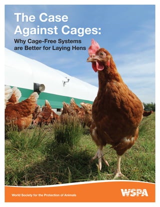 World Society for the Protection of Animals
The Case
Against Cages:
Why Cage-Free Systems
are Better for Laying Hens
 