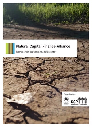 1
Natural Capital Finance Alliance
Finance sector leadership on natural capital
 