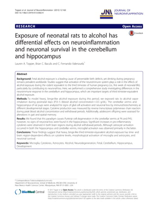 RESEARCH Open Access
Exposure of neonatal rats to alcohol has
differential effects on neuroinflammation
and neuronal survival in the cerebellum
and hippocampus
Lauren A. Topper, Brian C. Baculis and C. Fernando Valenzuela*
Abstract
Background: Fetal alcohol exposure is a leading cause of preventable birth defects, yet drinking during pregnancy
remains prevalent worldwide. Studies suggest that activation of the neuroimmune system plays a role in the effects of
alcohol exposure during the rodent equivalent to the third trimester of human pregnancy (i.e., first week of neonatal life),
particularly by contributing to neuronal loss. Here, we performed a comprehensive study investigating differences in the
neuroimmune response in the cerebellum and hippocampus, which are important targets of third trimester-equivalent
alcohol exposure.
Methods: To model heavy, binge-like alcohol exposure during this period, we exposed rats to alcohol vapor
inhalation during postnatal days (P)3–5 (blood alcohol concentration = 0.5 g/dL). The cerebellar vermis and
hippocampus of rat pups were analyzed for signs of glial cell activation and neuronal loss by immunohistochemistry at
different developmental stages. Cytokine production was measured by reverse transcriptase polymerase chain reaction
during peak blood alcohol concentration and withdrawal periods. Additionally, adolescent offspring were assessed for
alterations in gait and spatial memory.
Results: We found that this paradigm causes Purkinje cell degeneration in the cerebellar vermis at P6 and P45;
however, no signs of neuronal loss were found in the hippocampus. Significant increases in pro-inflammatory
cytokines were observed in both brain regions during alcohol withdrawal periods. Although astrocyte activation
occurred in both the hippocampus and cerebellar vermis, microglial activation was observed primarily in the latter.
Conclusions: These findings suggest that heavy, binge-like third trimester-equivalent alcohol exposure has time- and
brain region-dependent effects on cytokine levels, morphological activation of microglia and astrocytes, and
neuronal survival.
Keywords: Microglia, Cytokines, Astrocytes, Alcohol, Neurodegeneration, Fetal, Cerebellum, Hippocampus,
Development
* Correspondence: fvalenzuela@salud.unm.edu
Department of Neurosciences, School of Medicine, MSC08 4740, University of
New Mexico Health Sciences Center, Albuquerque, NM 87131-0001, USA
JOURNAL OF
NEUROINFLAMMATION
© 2015 Topper et al. Open Access This article is distributed under the terms of the Creative Commons Attribution 4.0
International License (http://creativecommons.org/licenses/by/4.0/), which permits unrestricted use, distribution, and
reproduction in any medium, provided you give appropriate credit to the original author(s) and the source, provide a link to
the Creative Commons license, and indicate if changes were made. The Creative Commons Public Domain Dedication waiver
(http://creativecommons.org/publicdomain/zero/1.0/) applies to the data made available in this article, unless otherwise stated.
Topper et al. Journal of Neuroinflammation (2015) 12:160
DOI 10.1186/s12974-015-0382-9
 