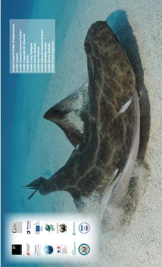 PAT
RIMONIOMUND
IAL
•
WORLD HER
ITAGE•
PATRIMOI
N
E
MONDIAL•
World
Heritage
Centre
Incooperationwith
UnitedNations
Educational,Scientiﬁcand
CulturalOrganization
Unétablissementpublic
pourlaprotectiondumilieumarin
25years
SEVENSEAS
fb
Unétablissementpublic
pourlaprotectiondumilieumarin
25years
SEVENSEAS
25years
SEVENSEAS
fb
Unétablissementpublic
pourlaprotectiondumilieumarin
25years
SEVENSEAS
PAT
RIMONIOMUND
IAL
•
WORLD HER
ITAGE•
PATRIMOI
N
E
MONDIAL•
World
Heritage
Centre
Incooperationwith
UnitedNations
Educational,Scientiﬁcand
CulturalOrganization
Unétablissementpublic
pourlaprotectiondumilieumarin
25years
SEVENSEAS
fb
PAT
RIMONIOMUND
IAL
•
WORLD HER
ITAGE•
PATRIMOI
N
E
MONDIAL•
World
Heritage
Centre
Incooperationwith
UnitedNations
Educational,Scientiﬁcand
CulturalOrganization
Unétablissementpublic
pourlaprotectiondumilieumarin
25years
SEVENSEAS
fb
PAT
RIMONIOMUND
IAL
•
WORLD HER
ITAGE•
PATRIMOI
N
E
MONDIAL•
World
Heritage
Centre
Incooperationwith
UnitedNations
Educational,Scientiﬁcand
CulturalOrganization
Unétablissementpublic
pourlaprotectiondumilieumarin
25years
SEVENSEAS
fb
25years
SEVENSEAS
25years
SEVENSEAS
fb
SEVENSEAS
fb
ImagesUsedInOrderofAppearance
Credit:Seapics
Credit:SebastiàSemeneGuitart
Credit:CopyrightM.Edwards
Credit:NASA
Credit:CraigDahlgren
Credit:AmeerAbdulla
Credit:RonMcPeak
Credit:SebastiàSemeneGuitart
Credit:BillMiller(Fish)
Credit:AmeerAbdulla
Credit:SimonRogerson
 