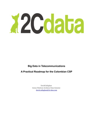 Big Data in Telecommunications
A Practical Roadmap for the Colombian CSP
DavidCallaghan 
Senior Platform Architect/Data Scientist 
david.callaghan@2c­data.com
 