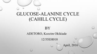 GLUCOSE-ALANINE CYCLE
(CAHILL CYCLE)
BY
ADETORO, Kozzim Okikiade
12/55EH018
April, 2016
 