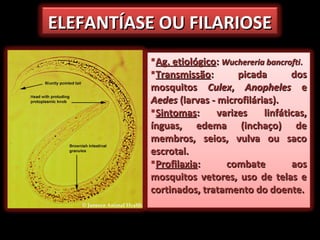 ELEFANTÍASE OU FILARIOSEELEFANTÍASE OU FILARIOSE
Ag. etiológicoAg. etiológico:: Wuchereria bancroftiWuchereria bancrofti..
TransmissãoTransmissão: picada dos: picada dos
mosquitosmosquitos CulexCulex,, AnophelesAnopheles ee
AedesAedes (larvas - microfilárias).(larvas - microfilárias).
SintomasSintomas: varizes linfáticas,: varizes linfáticas,
ínguas, edema (inchaço) deínguas, edema (inchaço) de
membros, seios, vulva ou sacomembros, seios, vulva ou saco
escrotal.escrotal.
ProfilaxiaProfilaxia: combate aos: combate aos
mosquitos vetores, uso de telas emosquitos vetores, uso de telas e
cortinados, tratamento do doente.cortinados, tratamento do doente.
 