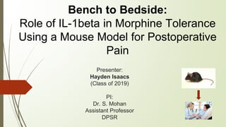 Presenter:
Hayden Isaacs
(Class of 2019)
PI:
Dr. S. Mohan
Assistant Professor
DPSR
Bench to Bedside:
Role of IL-1beta in Morphine Tolerance
Using a Mouse Model for Postoperative
Pain
 