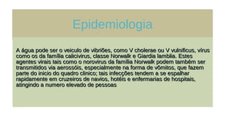Epidemiologia
A água pode ser o veiculo de vibriões, como V cholerae ou V vulnificus, vírusA água pode ser o veiculo de vibriões, como V cholerae ou V vulnificus, vírus
como os da família calicivirus, classe Norwalk e Giardia lamblia. Estescomo os da família calicivirus, classe Norwalk e Giardia lamblia. Estes
agentes virais tais como o norovirus da família Norwalk podem também seragentes virais tais como o norovirus da família Norwalk podem também ser
transmitidos via aerossóis, especialmente na forma de vômitos, que fazemtransmitidos via aerossóis, especialmente na forma de vômitos, que fazem
parte do inicio do quadro clinico; tais infecções tendem a se espalharparte do inicio do quadro clinico; tais infecções tendem a se espalhar
rapidamente em cruzeiros de navios, hotéis e enfermarias de hospitais,rapidamente em cruzeiros de navios, hotéis e enfermarias de hospitais,
atingindo a numero elevado de pessoasatingindo a numero elevado de pessoas
 