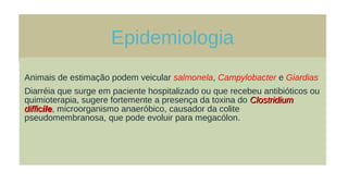 Epidemiologia
Animais de estimação podem veicular salmonela, Campylobacter e Giardias
Diarréia que surge em paciente hospitalizado ou que recebeu antibióticos ou
quimioterapia, sugere fortemente a presença da toxina do ClostridiumClostridium
difficdifficileile, microorganismo anaeróbico, causador da colite
pseudomembranosa, que pode evoluir para megacólon.
 