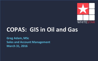 1
COPAS:		GIS	in	Oil	and	Gas
Greg	Adam,	MSc
Sales	and	Account	Management
March	31,	2016
 