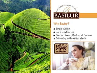 Why Basilur?
 