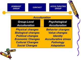 DOMINANTDOMINANT
GROUPGROUP
CONTACTCONTACT
ACCULTURATINGACCULTURATING
GROUPGROUP
AcculturationAcculturation
Group-LevelGroup-Level
AcculturationAcculturation
PsychologicalPsychological
AcculturationAcculturation
Physical changesPhysical changes
Biological changesBiological changes
Political changesPolitical changes
Economic ChangesEconomic Changes
Cultural ChangesCultural Changes
Social ChangesSocial Changes
Behavior changesBehavior changes
Value changesValue changes
IdentityIdentity
Acculturative stressAcculturative stress
PathologyPathology
AdaptationAdaptation
 