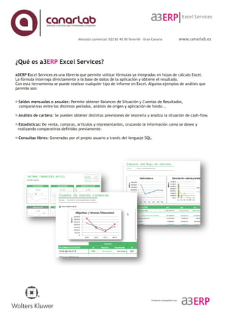 A3Erp Excel Services