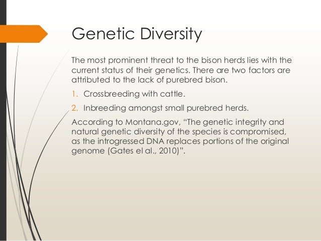 Factors in Genetic Diversity